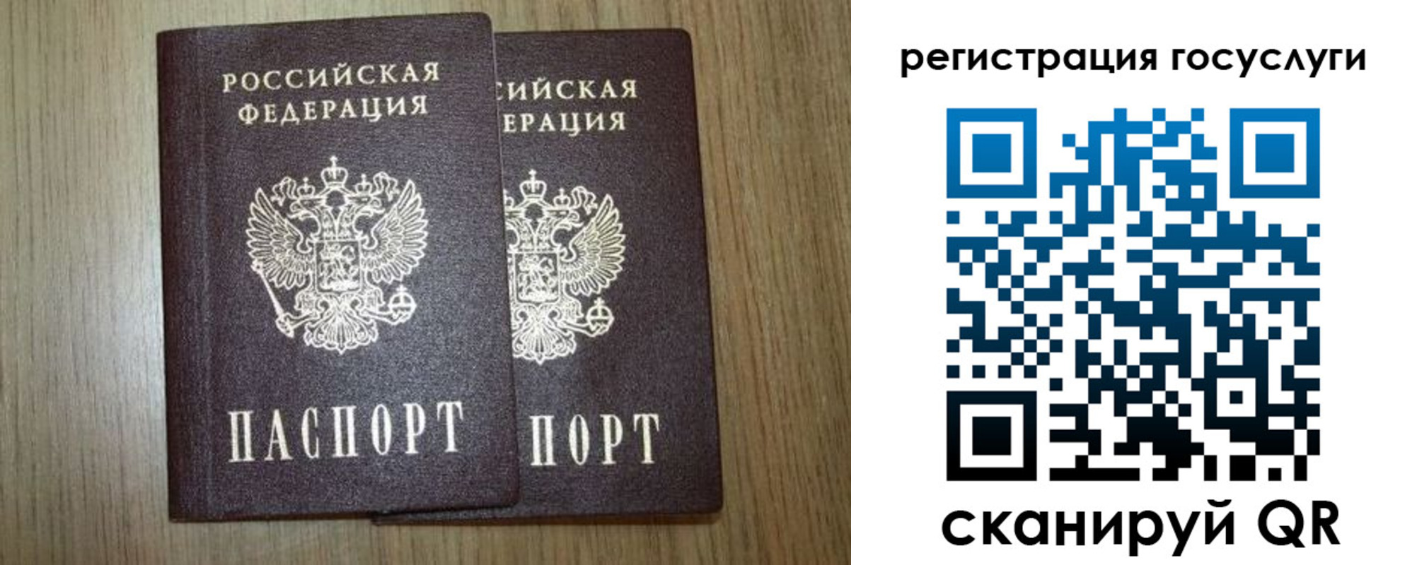 прописка поиск в Алексеевке